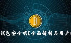  TP钱包安全吗？全面解析与用户指南