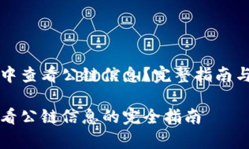 如何在TP钱包中查看公链信息？完整指南与常见问题解析

在TP钱包中查看公链信息的完全指南