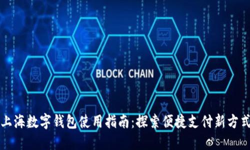 上海数字钱包使用指南：探索便捷支付新方式
