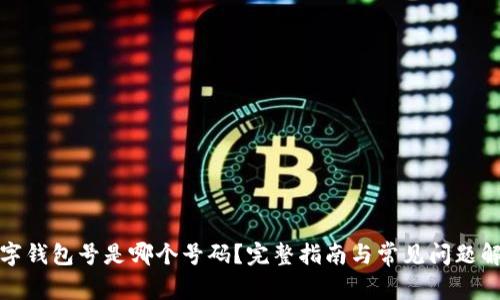 数字钱包号是哪个号码？完整指南与常见问题解析