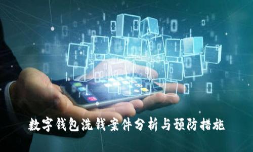 数字钱包洗钱案件分析与预防措施