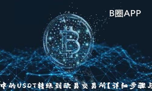 
如何将TP钱包中的USDT转账到欧易交易所？详细步骤与注意事项分析