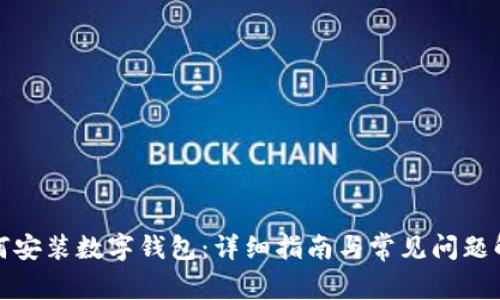 如何安装数字钱包：详细指南与常见问题解答
