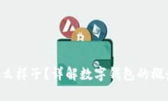 数字钱包是什么样子？详解数字钱包的概念、种