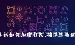  苹果手机如何加密钱包，确保您的财务安全