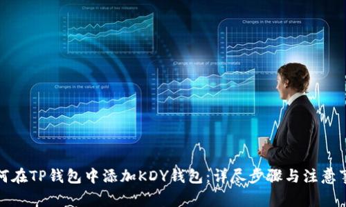如何在TP钱包中添加KDY钱包：详尽步骤与注意事项