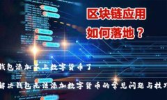 钱包添加不上数字货币了解决钱包无法添加数字