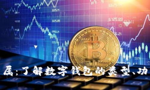 数字钱包归属：了解数字钱包的类型、功能及安全性