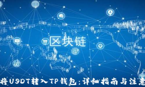 
如何将USDT转入TP钱包：详细指南与注意事项