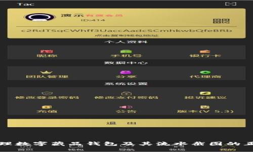 如何安全管理数字藏品钱包及其流水截图的正确使用方法