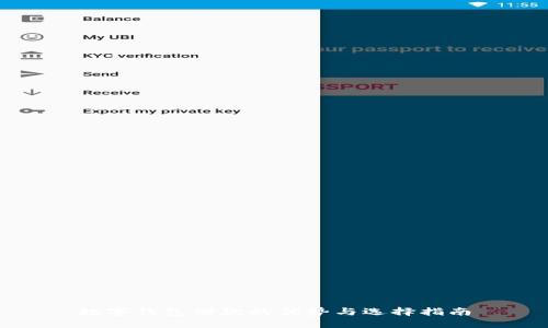 数字钱包借款的优势与选择指南