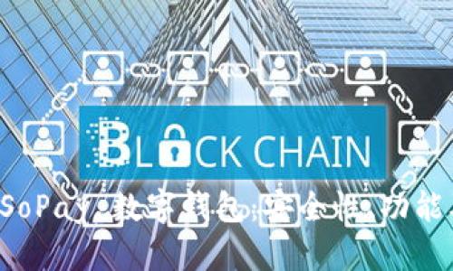 全面解析 SoPay 数字钱包：安全性、功能及使用指南