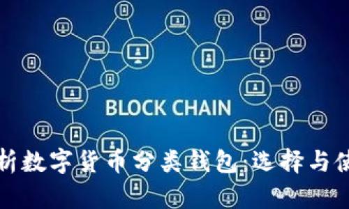 全面解析数字货币分类钱包：选择与使用指南