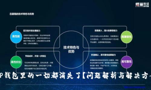 TP钱包里的一切都消失了？问题解析与解决方案