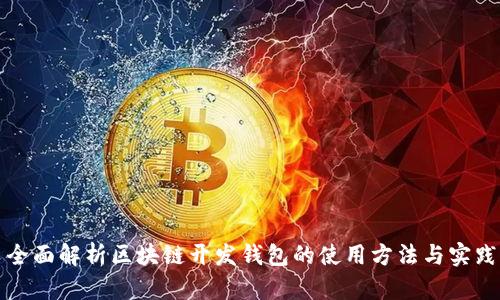 全面解析区块链开发钱包的使用方法与实践