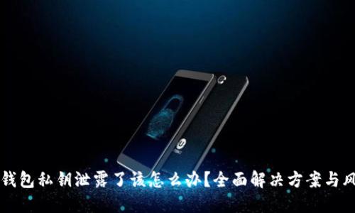 如果TP钱包私钥泄露了该怎么办？全面解决方案与风险防范