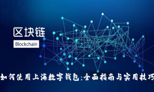 如何使用上海数字钱包：全面指南与实用技巧