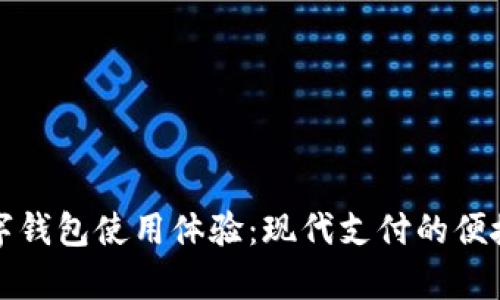 青岛数字钱包使用体验：现代支付的便捷与安全