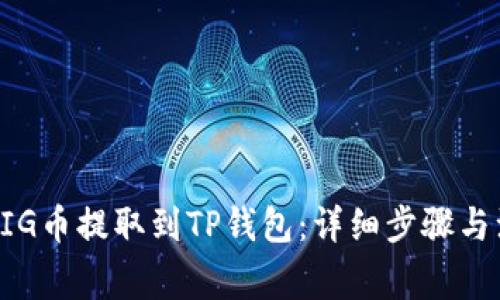 如何将BIG币提取到TP钱包：详细步骤与注意事项