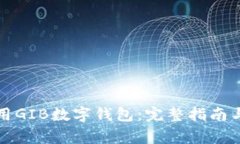 如何下载和使用GIB数字钱包：完整指南与常见问