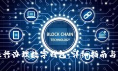 如何在建设银行办理数字钱包：详细指南与常见