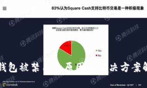 TP钱包被禁用的原因及解决方案解析