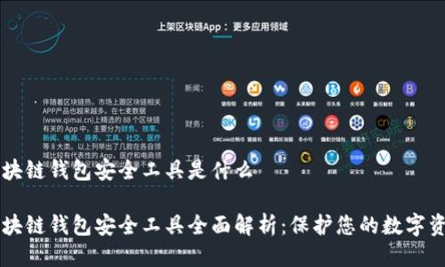 区块链钱包安全工具是什么

区块链钱包安全工具全面解析：保护您的数字资产