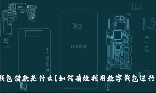 数字钱包借款是什么？如何有效利用数字钱包进行借贷？