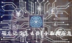 TP钱包密码忘记了怎么办？全面指南与解决方案